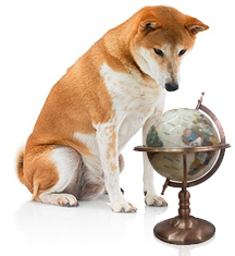 Dog Rescue
